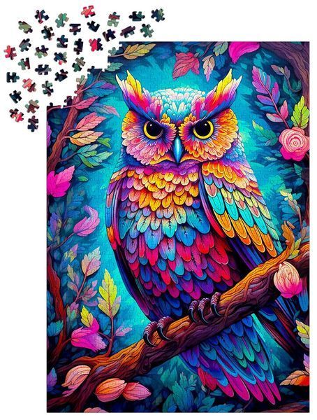 Пазл Ослепительная сова - Dazzling Owl (Enjoy-2224) 548974290 фото