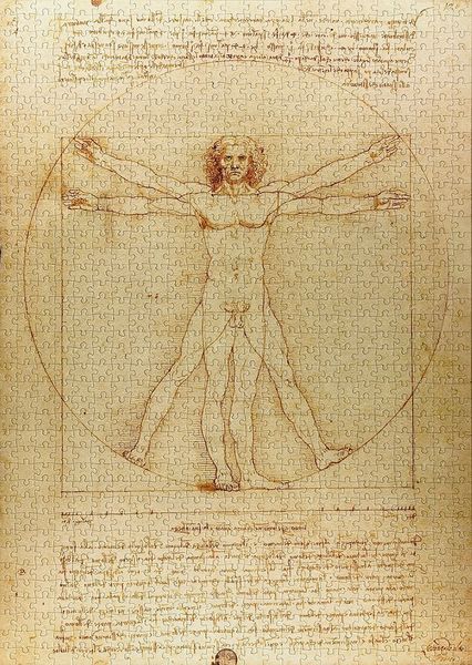 Пазл Витрувианский человек - The Vitruvian Man (Enjoy-1557) 548973947 фото